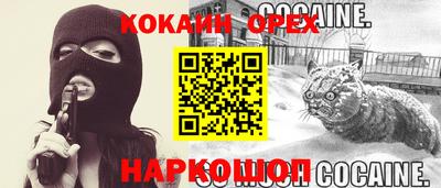 винт Шахты