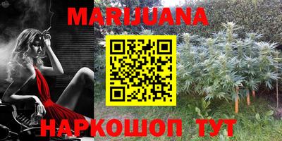 винт Шахты